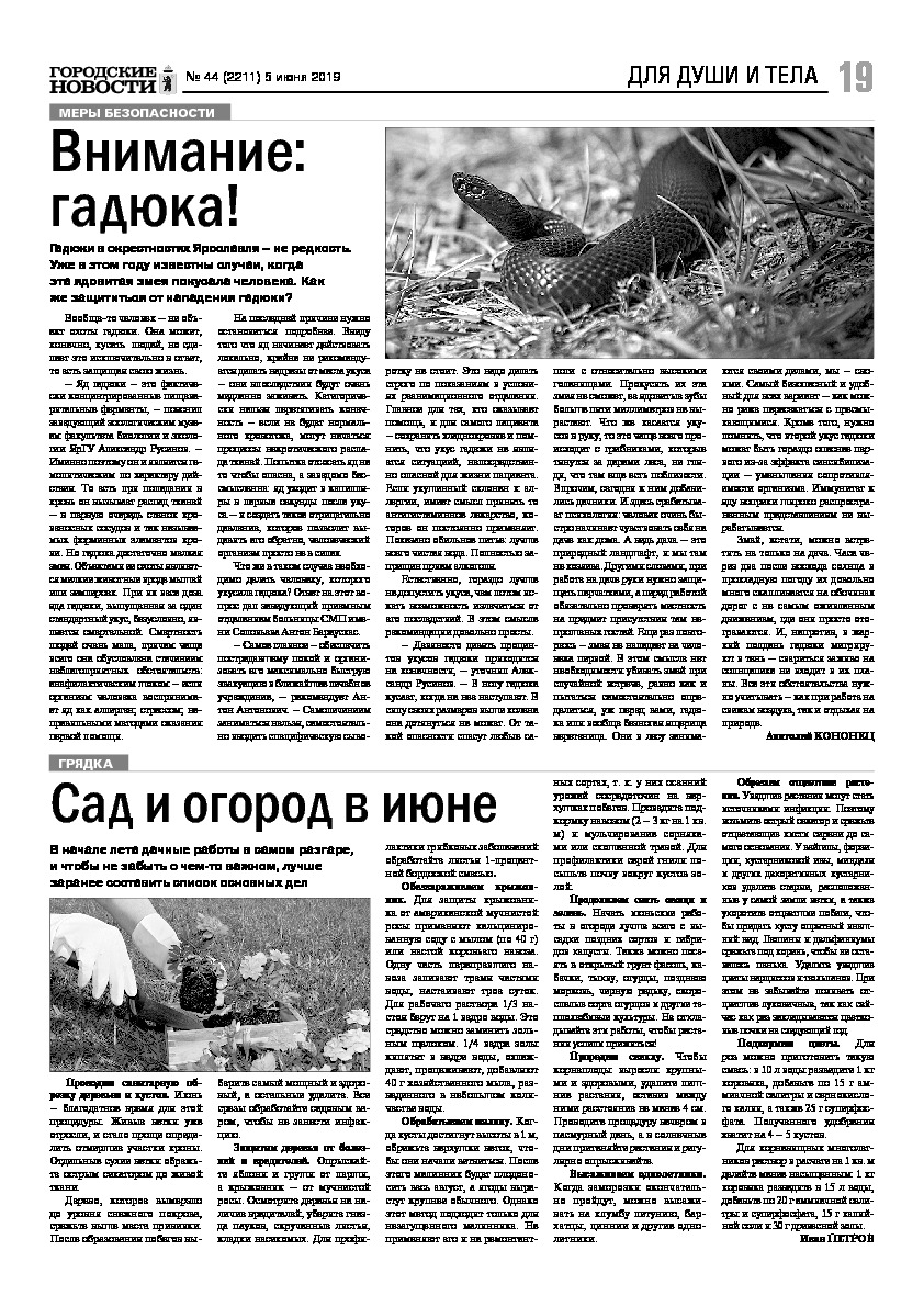 Выпуск газеты № 44 (2211) от 05.06.2019, страница 18.
