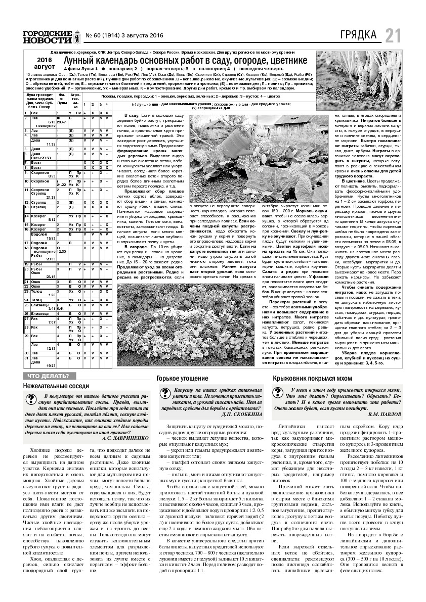 Выпуск газеты № 60 (1914) от 03.08.2016, страница 21.