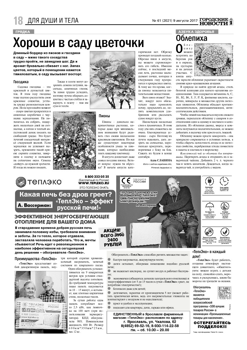 Выпуск газеты № 61 (2021) от 09.08.2017, страница 17.