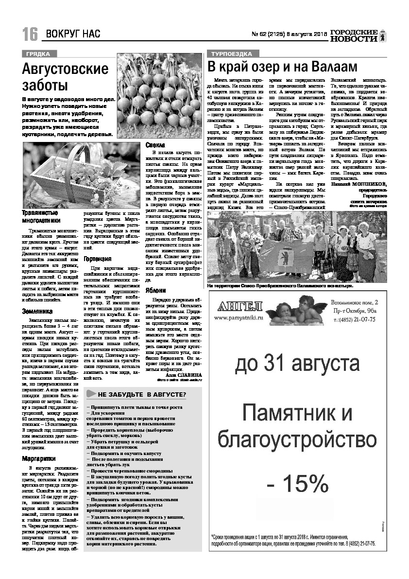 Выпуск газеты № 62 (2125) от 08.08.2018, страница 15.