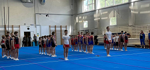 В ярославских спортшколах открылись детские лагеря