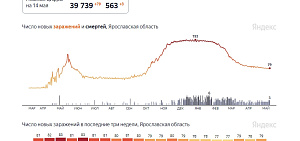 Коронавирус в Ярославской области: на уровне позавчерашнего дня