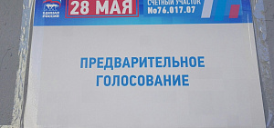 В Ярославле на предварительном голосовании действует "горячая линия"