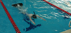 Ярославские пловцы установили очередные рекорды