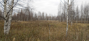 В Ярославской области нарушители земельного законодательства пополнили бюджет на 10,6 миллиона рублей