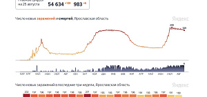 Коронавирус в Ярославской области: есть минимум заболеваемости второго полугодия