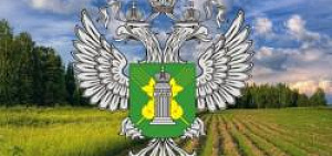 В Ярославской области суд оштрафовал юридическое лицо за неисполнение предписания об устранении нарушений земельного законодательства