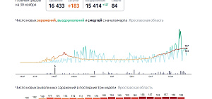Коронавирус в Ярославской области: 183 заболевших, 187 вылечившихся