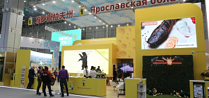 В обновление Ленинского рынка в Ярославле будет вложено более 800 миллионов рублей