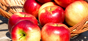 Яблочный Спас: в Ярославской области посчитали стоимость яблок и джема