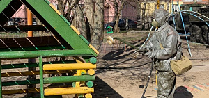 Еще в одном детском саду Ярославля закрыли дежурные группы