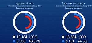 Больше восьми тысяч ярославцев уже проголосовали дистанционно