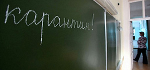 17 классов и одна школа в Ярославской области переведены на дистанционное обучение