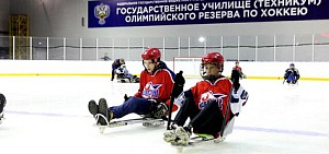 Дмитрий Миронов: в Ярославской области создают детскую команду по следж-хоккею