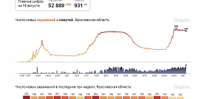 Коронавирус в Ярославской области: два дня подряд одинаковые показатели
