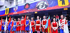 В Ярославле стартовал Межрегиональный турнир по боксу