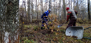 Ярославские лыжники-ветераны провели субботник на своей трассе