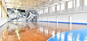 Зал в ярославской спортшколе № 9 украсила монументальная живопись