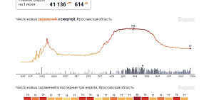 Коронавирус в Ярославской области: три смерти, 77 заболеваний